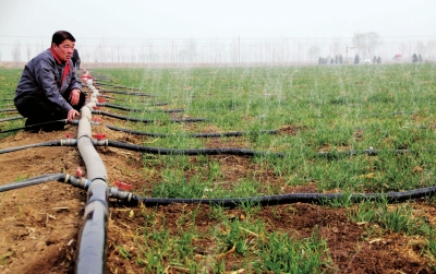 無土栽培,無土栽培技術,無土栽培設備