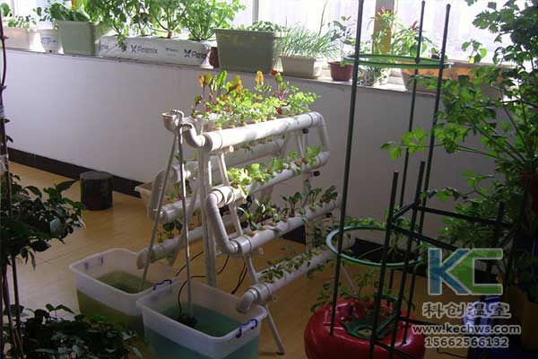 無土栽培，無土栽培技術(shù)，無土栽培設(shè)備