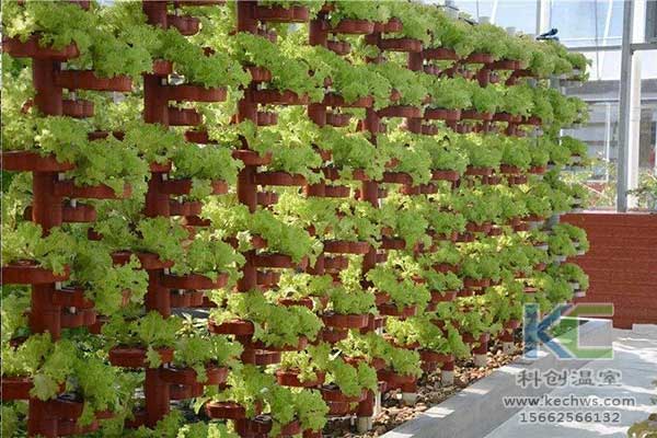 無土栽培，無土栽培技術，無土栽培設備