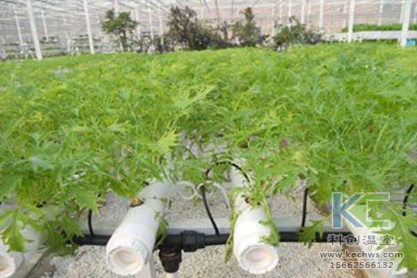無土栽培，無土栽培技術，無土栽培設備