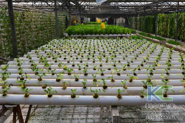 無土栽培，無土栽培技術，無土栽培設備