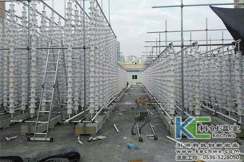 立柱栽培，無土栽培，天空農(nóng)場