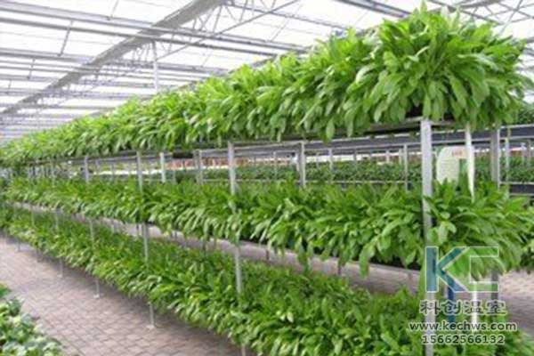 無土栽培，無土栽培技術，無土栽培設備