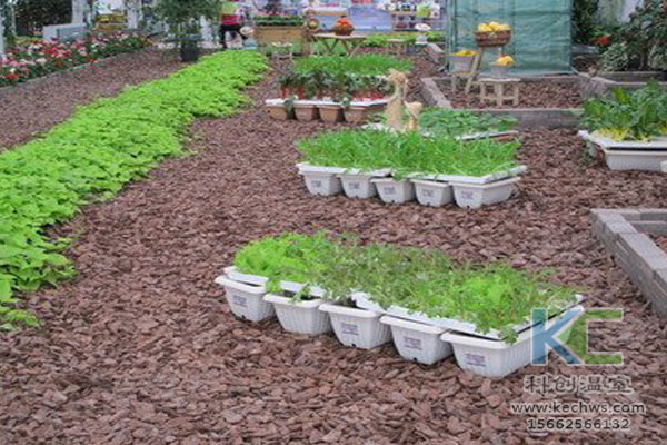 無土栽培，無土栽培技術，無土栽培設備