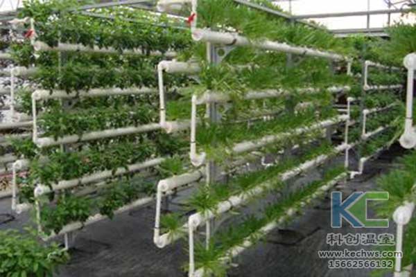 無土栽培，無土栽培技術，無土栽培設備