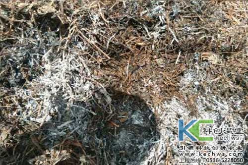 無土栽培,無土栽培技術,無土栽培設備