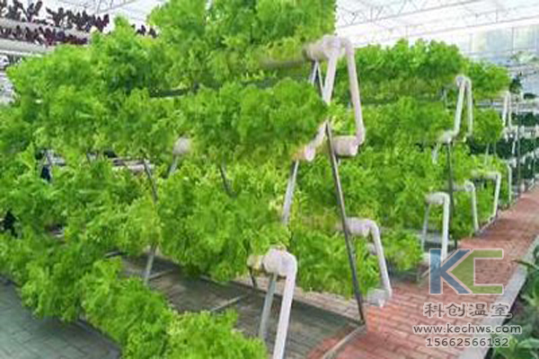 休閑農業，無土栽培技術，無土栽培，溫室大棚