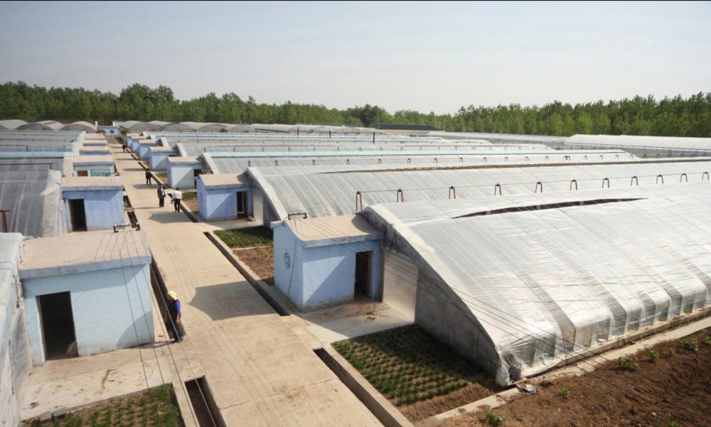 無土栽培，無土栽培技術，無土栽培設備