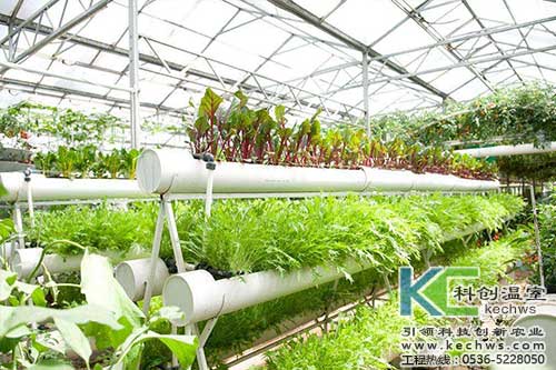 無土栽培,無土栽培技術,無土栽培設備