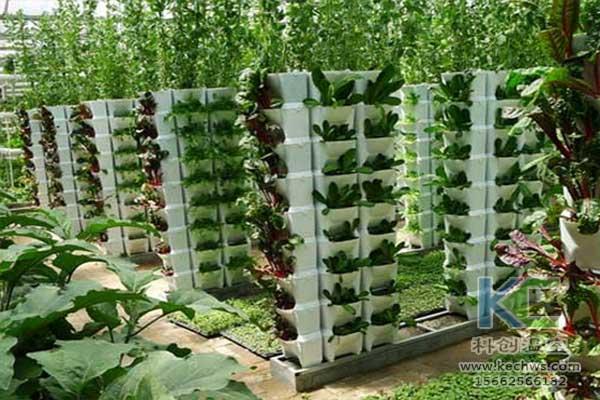 無土栽培，無土栽培技術，無土栽培設備