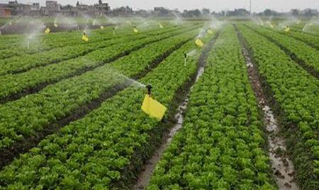 無土栽培，無土栽培技術(shù)，無土栽培設備