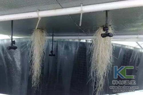 無土栽培，無土栽培技術(shù)，無土栽培設(shè)備