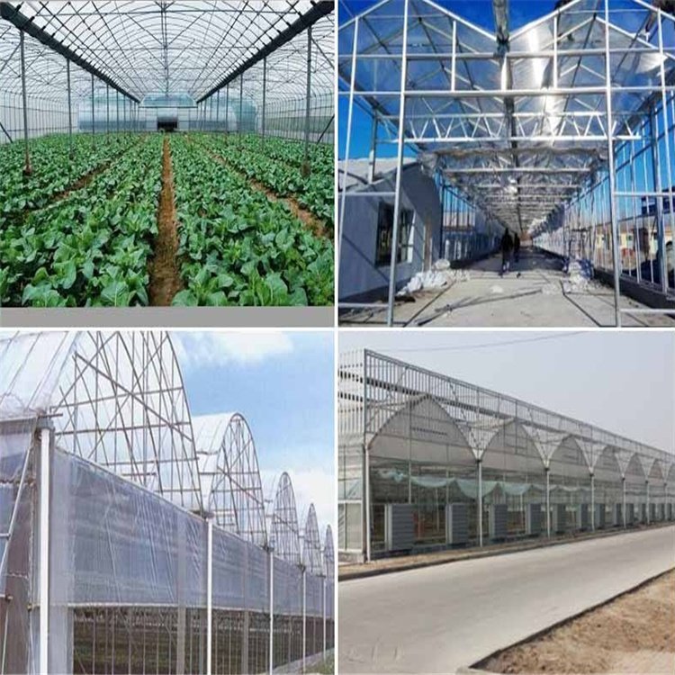 無土栽培,無土栽培技術,無土栽培設備