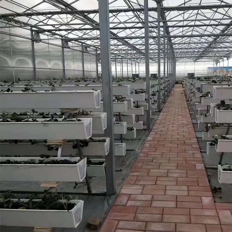 無土栽培,無土栽培技術,無土栽培設備